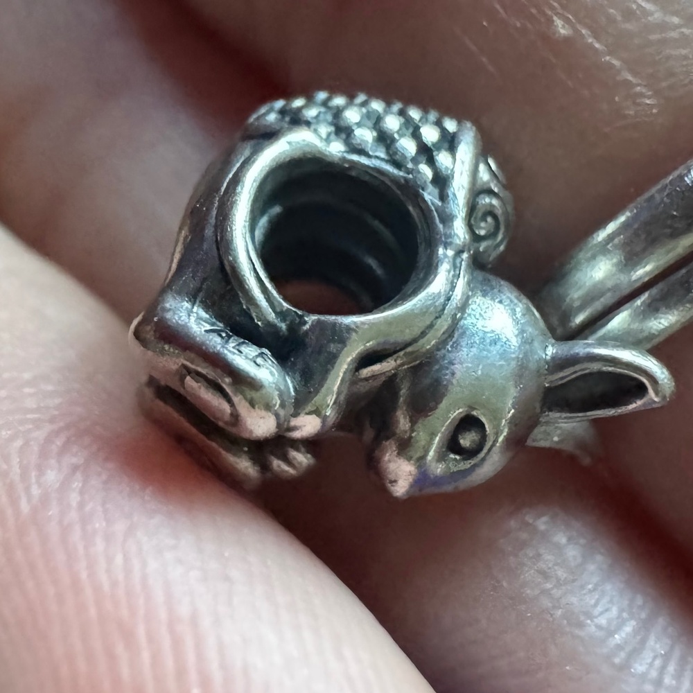 Pandora charm